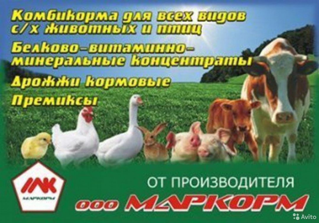 Магазин Животновод Киров Производственная