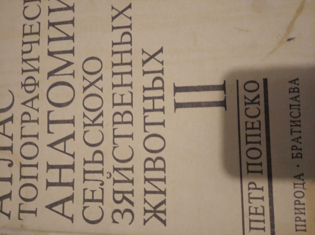 Атлас топографической анатомии. Атлас топографической анатомии сельскохозяйственных животных. Топографический атлас сельхоз животных.