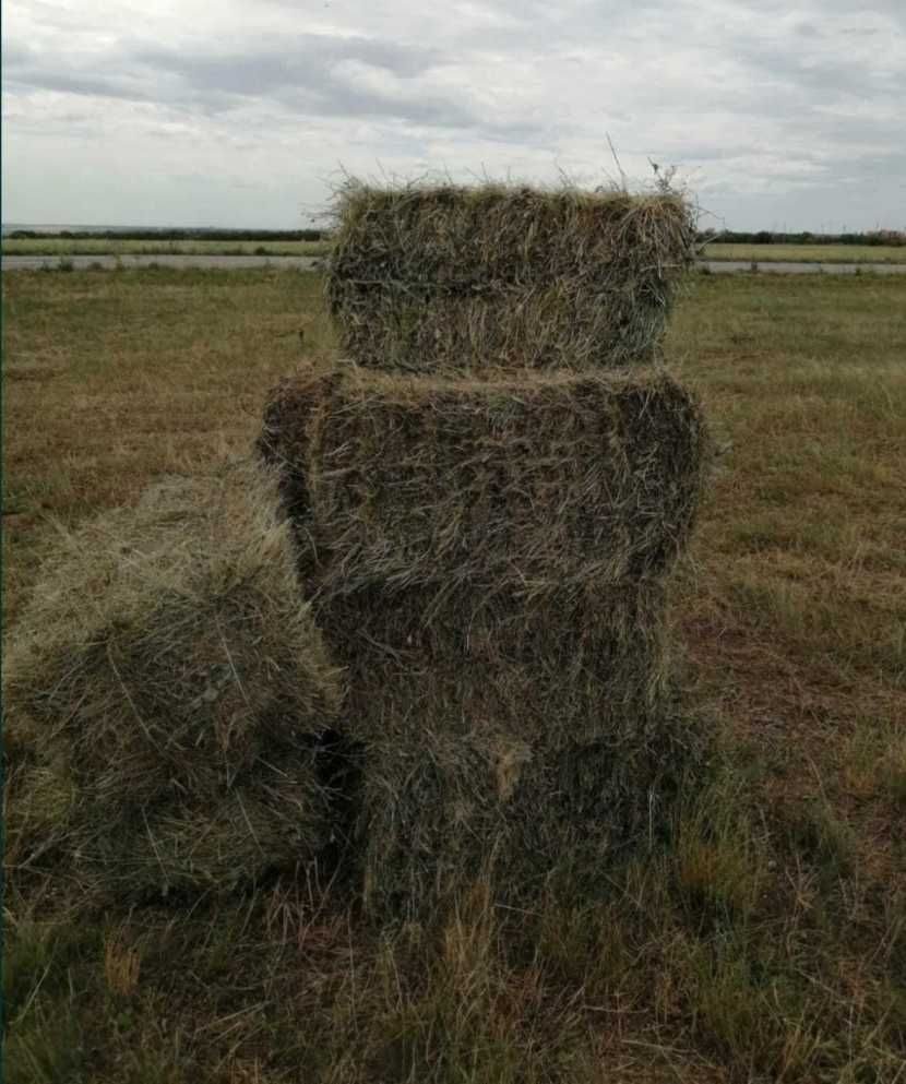 Купить Солому В Курске С Доставкой