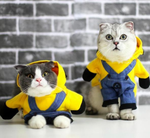 Карнавальный костюм MINION купить за грн. в Fancydress