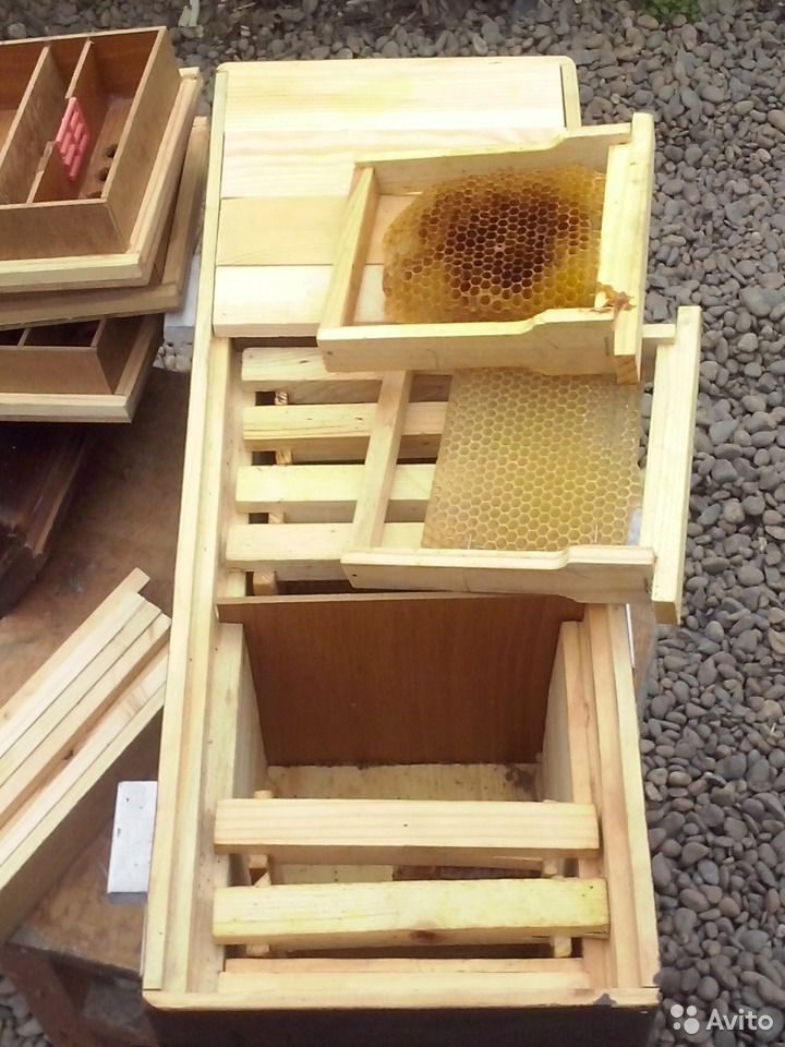 Нуклеусы для пчел