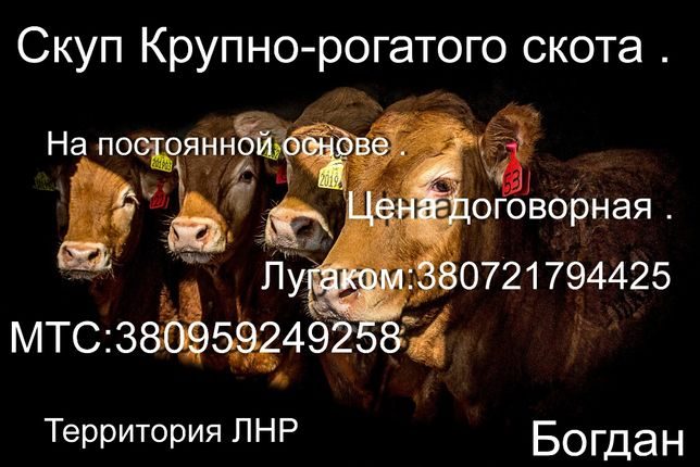 Сайты Продажи Сельхоз Животных