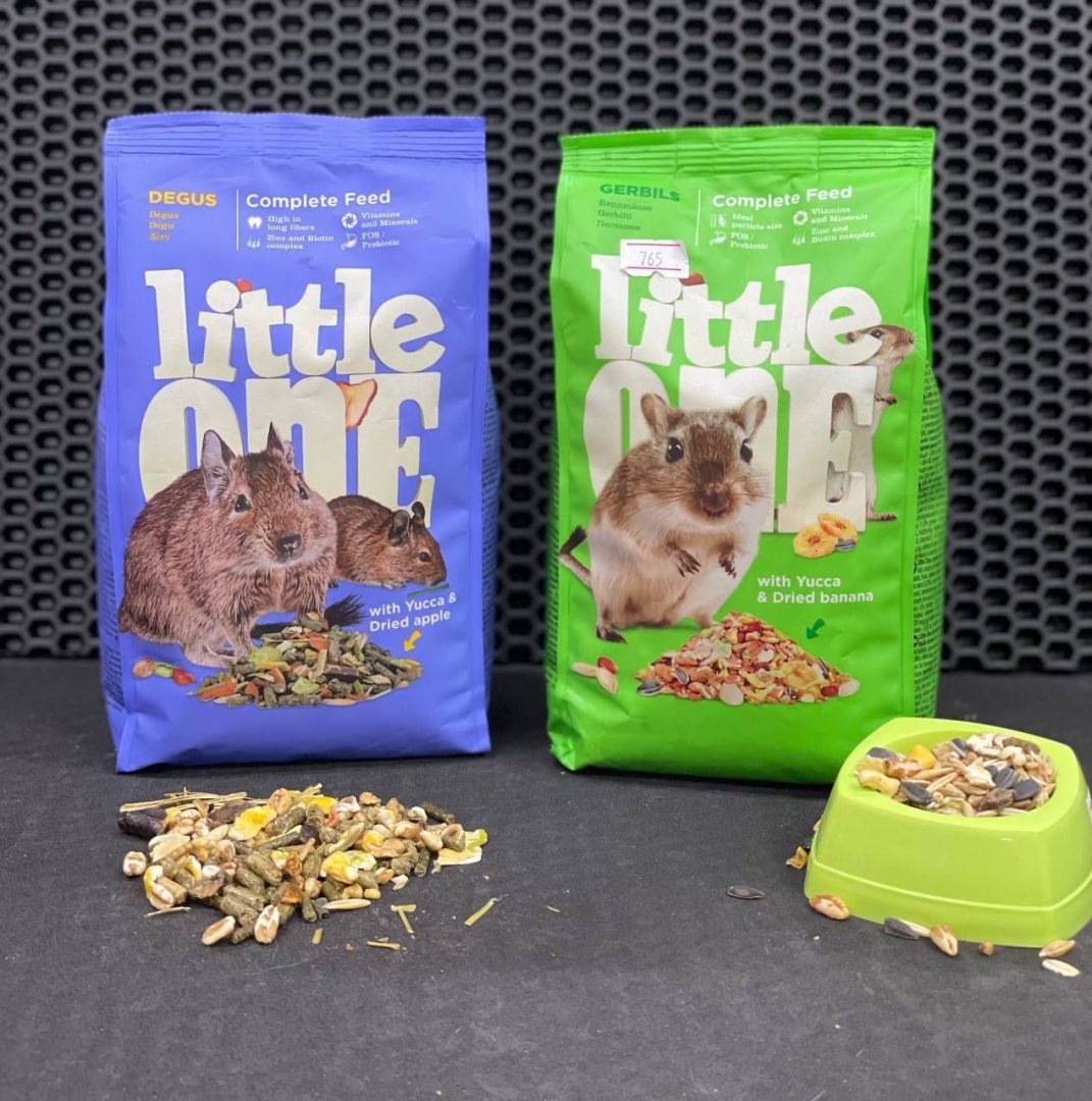 Корм для белки. Корм для чилийской белки. Multifit Degu корм. 20 Грамм корма для песчанок. Корм для белки в коробке.