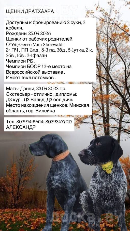 Разное