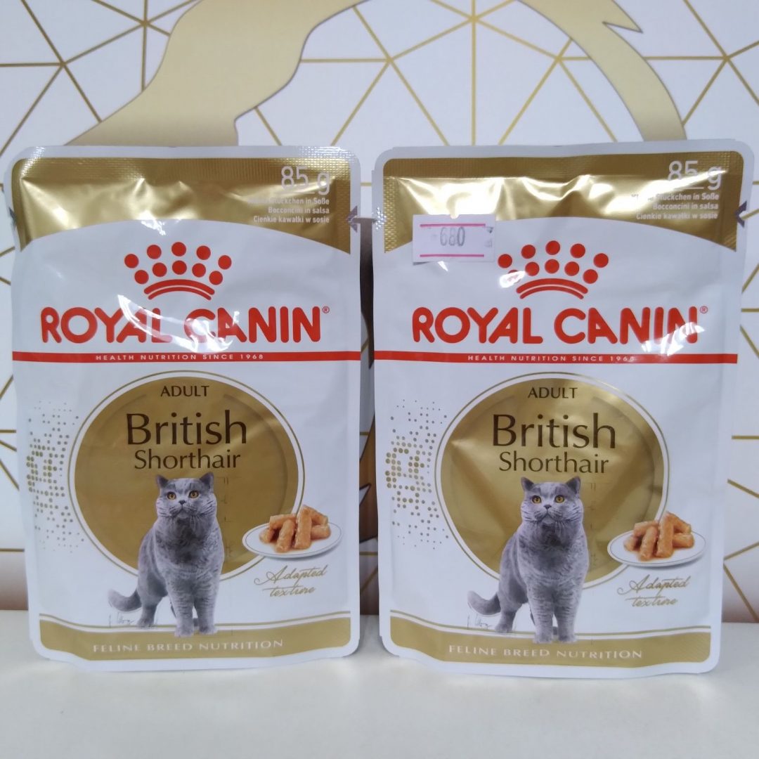 Хорошие корма для британцев. Роял Канин для шотландских котят. Royal Canin для шотландских котят. Корм для кошек Роял Канин для шотландских кошек. Royal Canin для британских кошек.