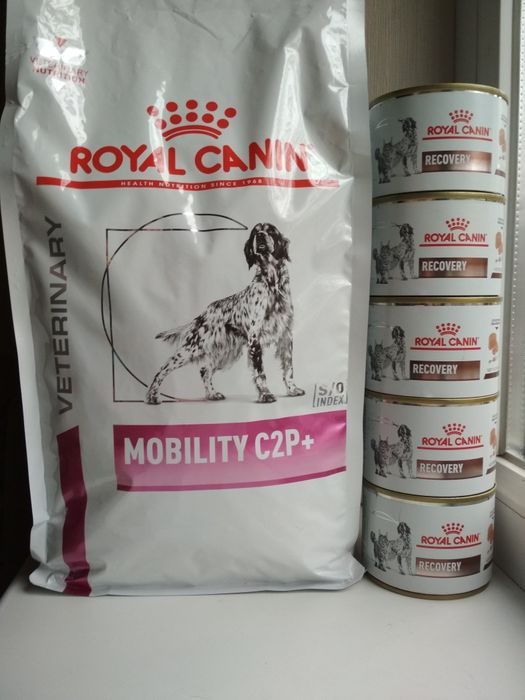 Royal canin породы. Роял Канин Проплан для кошек собак. Конкурс Роял Канин 2021. Подделка Royal Canin. Роял Канин в бридеровских упаковках для собак боди л.