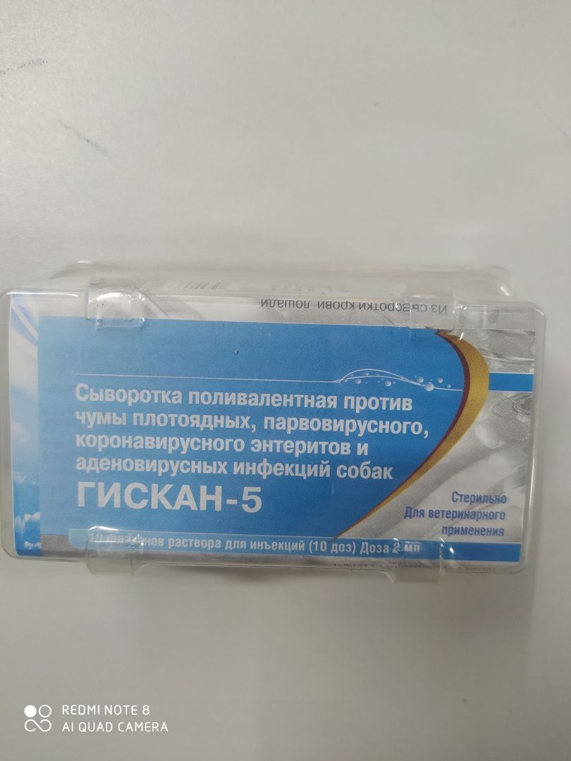 Поливалентная сыворотка. Сыворотка против чумки Гиска 5. Поливалентная сыворотка для собак. Гискан-5 сыворотка для собак инструкция цена. Гискан-5 сыворотка для собак инструкция для щенков.