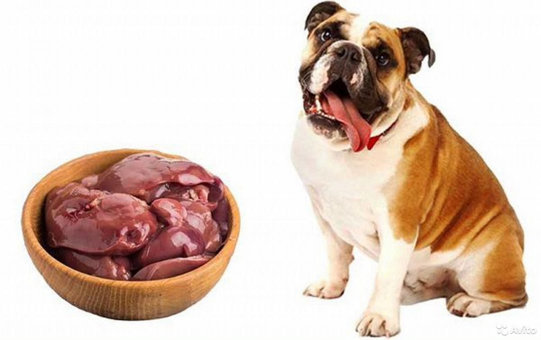 Печень говяжья собаке можно. Мясо и субпродукты для собак. Мясные корма для животных.