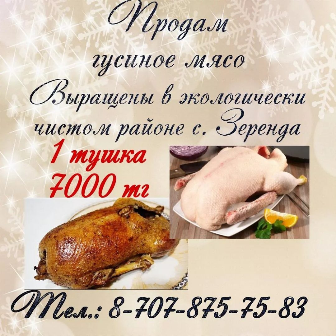 Объявления продам мясо. Объявление продаются тушка гуся. Реклама гусиного мяса. Объявление о продаже гусей.