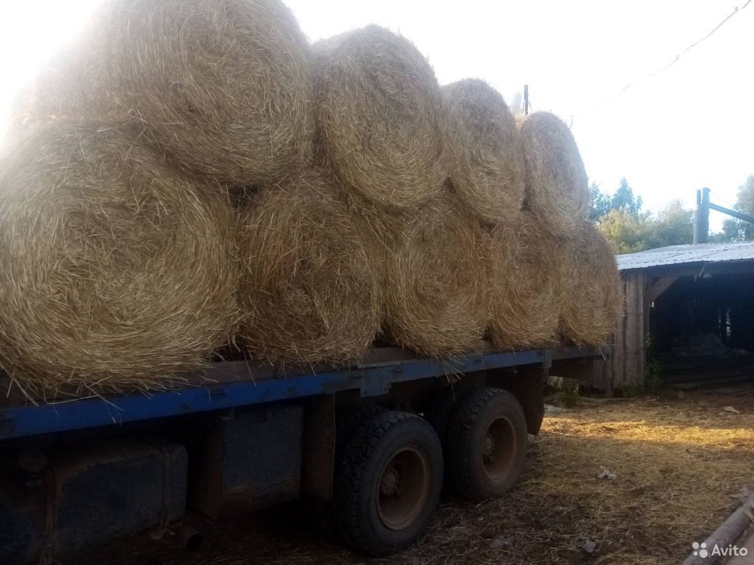 Солома Купить В Нижегородской Области