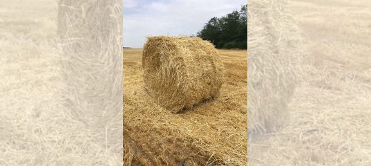 Купить Солому Истринский Район