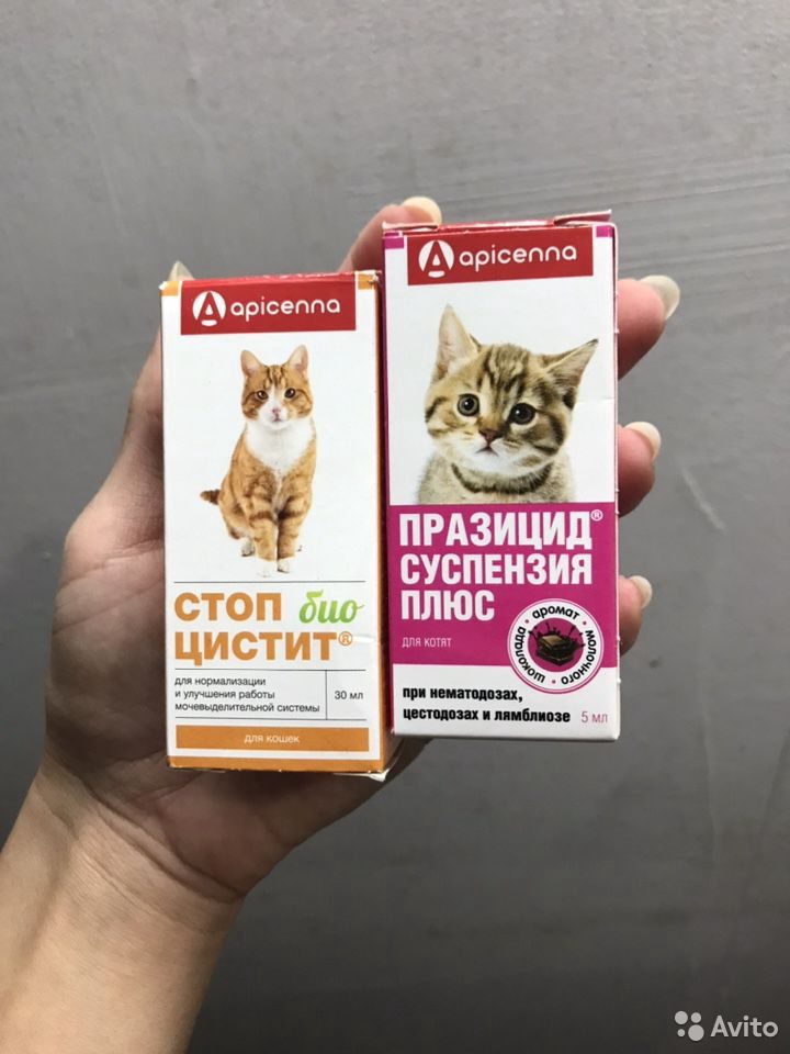 празицид плюс суспензия котята, 5 мл