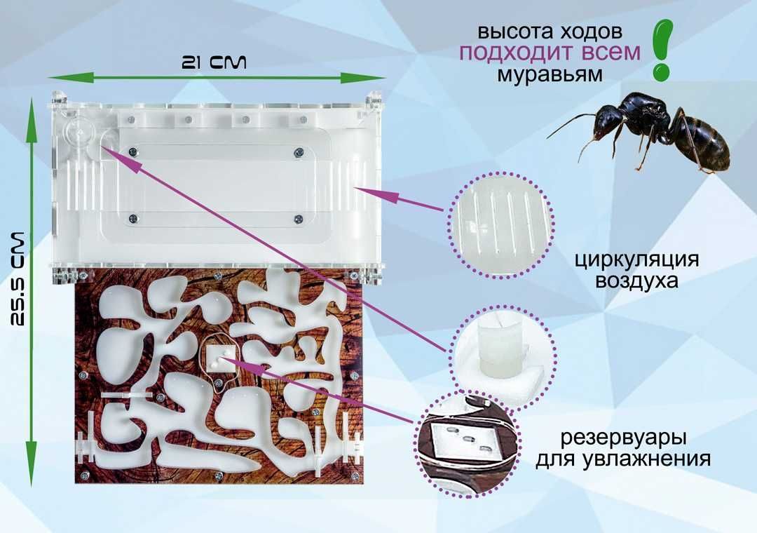 Белковый Корм Для Муравьев Купить