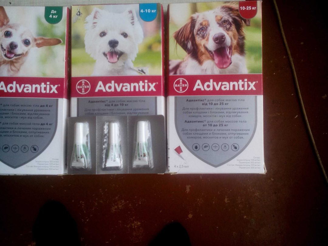 Адвантикс для собак до 4 кг. Адвантикс для собак 10-25. Адвантикс для собак (4 пипетки) 10-25кг. Адвантикс для собак 10-20 кг.