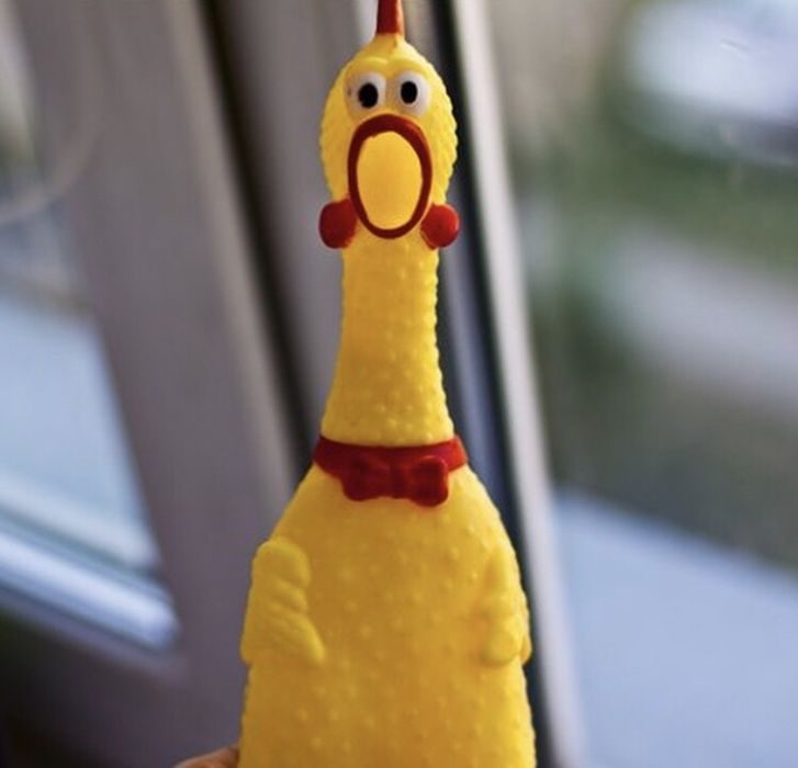 Утка издает звук. Резиновая курица. Курица резиновая игрушка. Кричащая утка игрушка. Желтая курица игрушка.