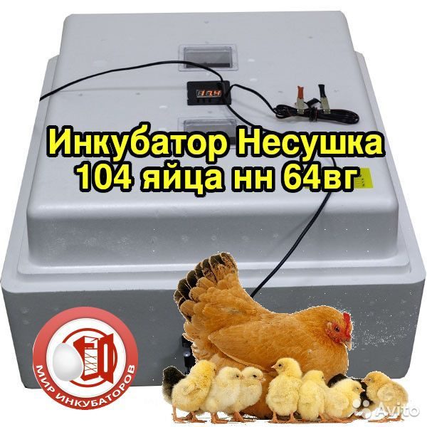 Купить Инкубатор В Омске На Авито