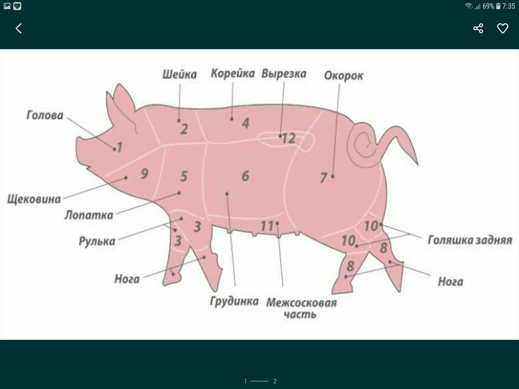 Лучшие части свиньи. Размеры полутуши свиней.