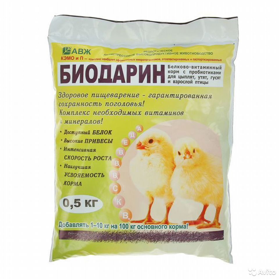 Купить Цыплят Несушек В Белгороде