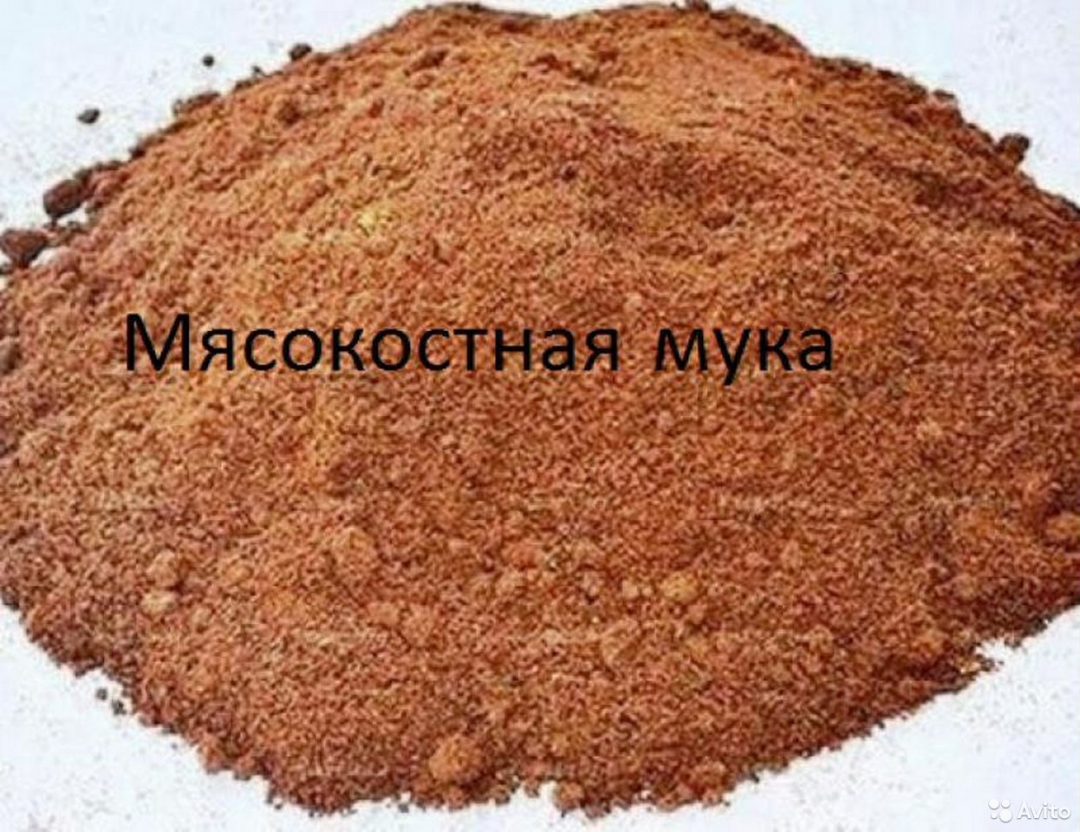 Мясокостная Мука Купить В Барнауле