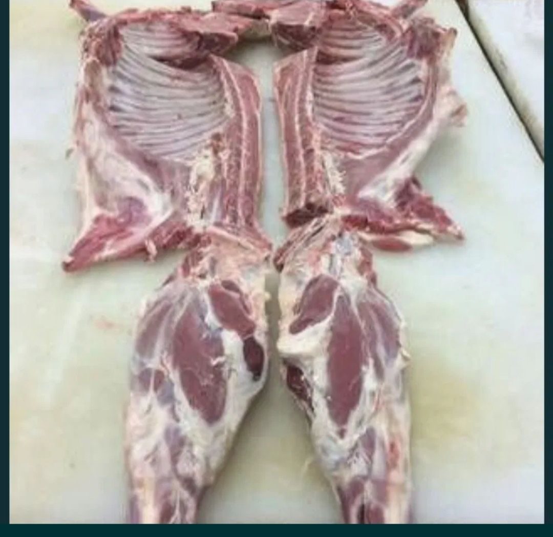 мясо козлятина фото