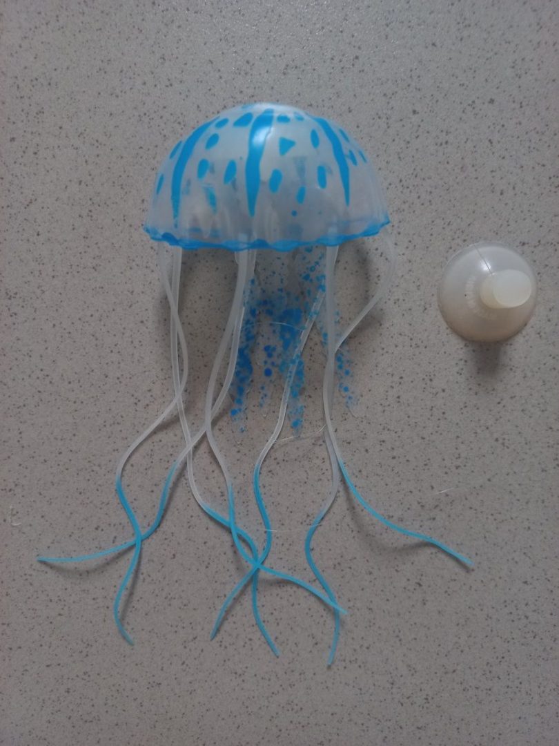 Медуза живая купить. Маленькие медузы в аквариуме. Пресноводные медузы для аквариума. Пресноводная медуза. Аквариум с маленькими медузами.