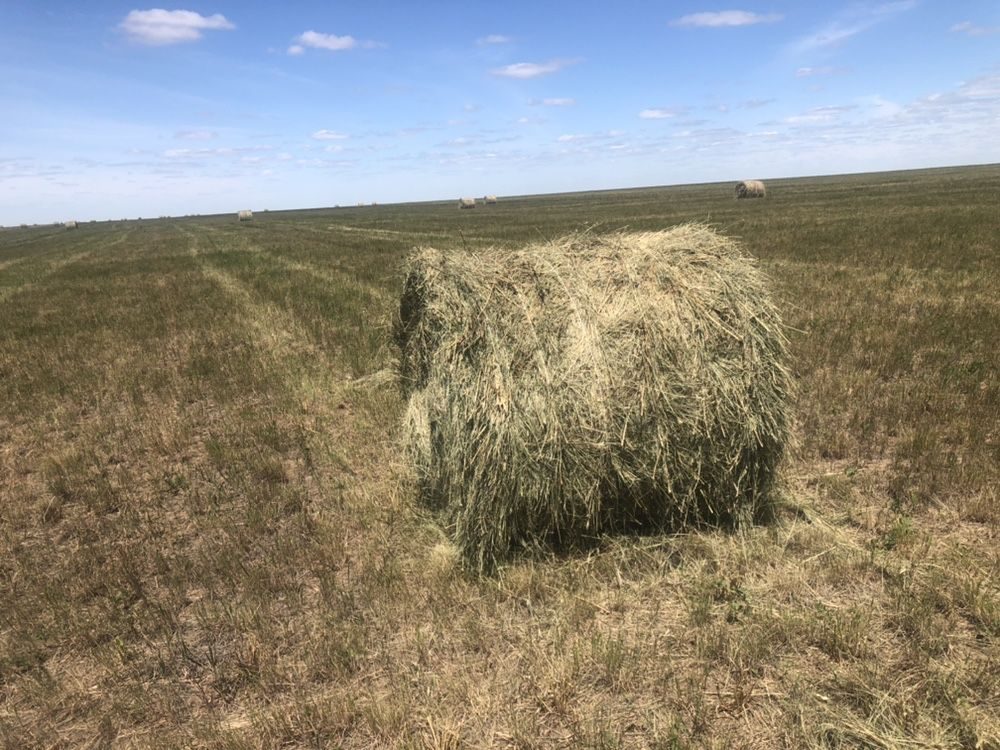 Купить Сено В Чертковском Районе Ростовской Области