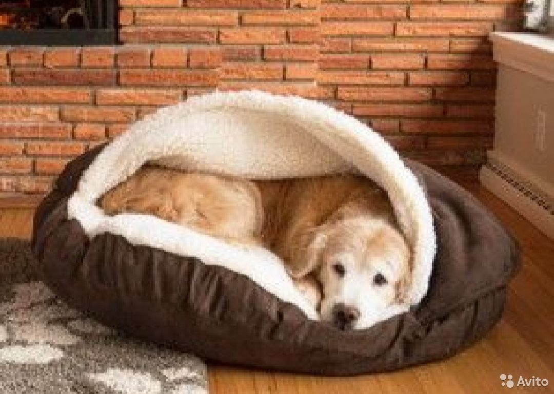 Лежанки русские фото. Cozy Bed лежанка. Royal Pet лежанка. Нора для собаки в кровати. Реклама лежанок для животных.