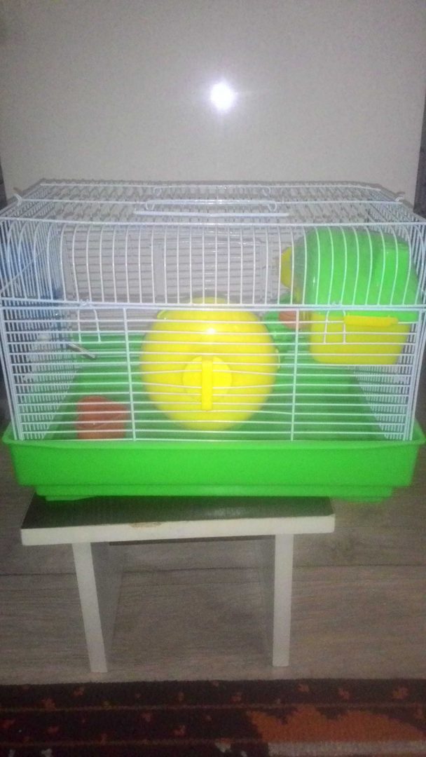 Hamster green energy