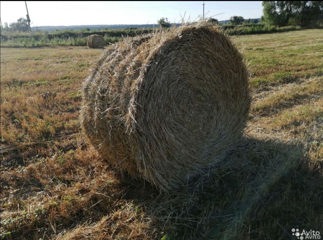 Солома Купить В Нижегородской Области