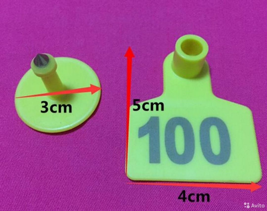 Ушные бирки. Бирка номерной для Оветс. Бирки ушные для свиней своими руками. Ушные бирки в Чувашии. Ушные бирки Северного оленя.