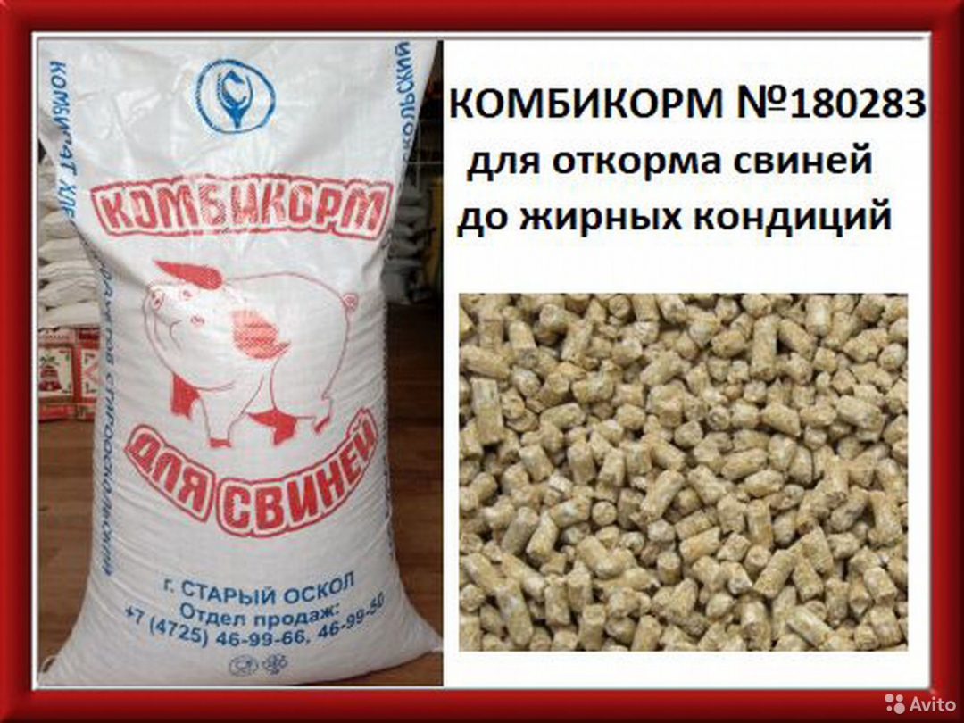 Комбикорма Комбината Хлебопродуктов Старый Оскол - Доска бесплатных  объявлений Mur.tv