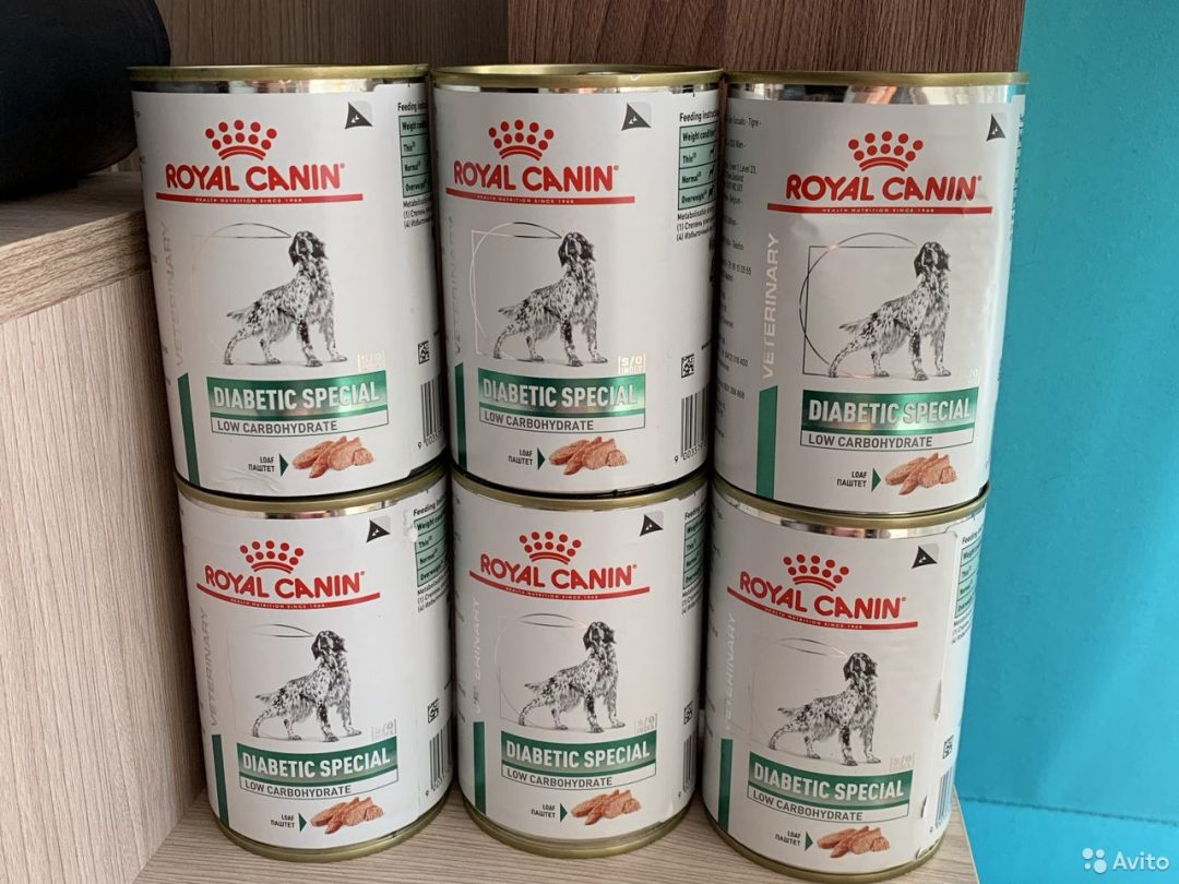 Корм для кошек диабетиков. Роял Канин диабетик для собак консервы. Royal Canin Diabetic для собак консервы. Роял Канин диабетик для собак 410гр. Собачьи консервы для щенков Роял Канин.