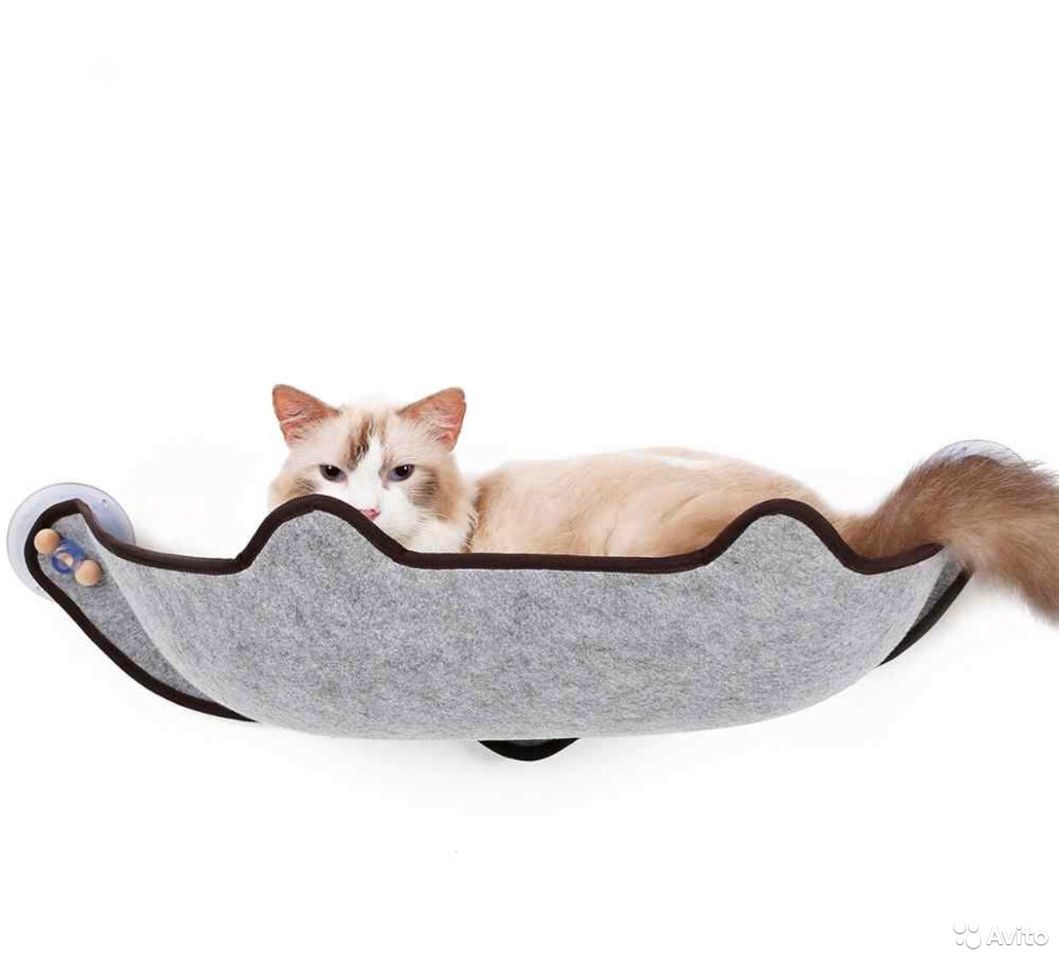 Лежак на присосках для кошек