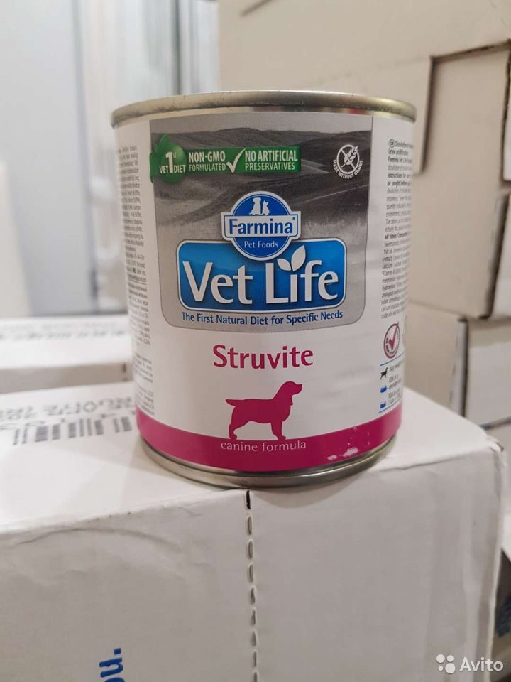 Vet life struvite. Корм Фармина Struvite. Farmina Struvite для собак. Корм при мкб для собак Фармина Струвит. Farmina vet Life Struvite влажный корм для собак.