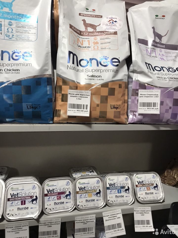 Монж Для Кошек Фото