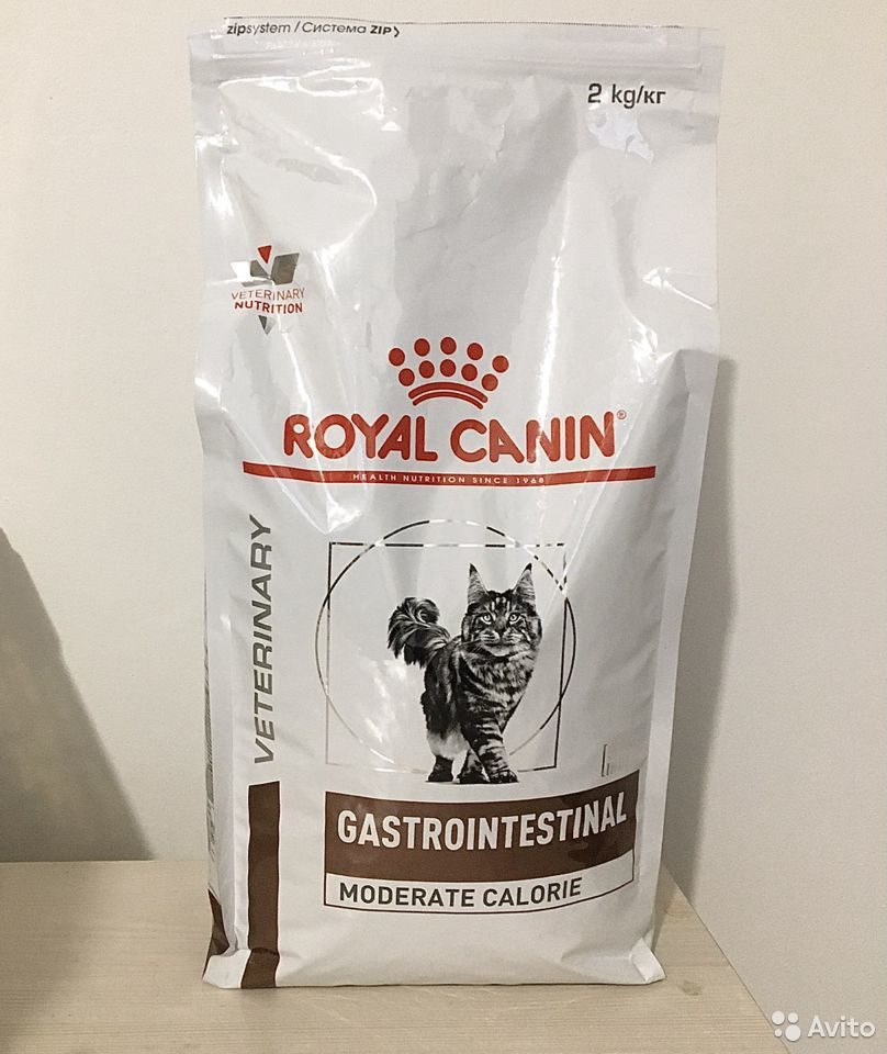 Гастро модератор калорий для кошек. Royal Canin Gastrointestinal moderate Calorie. Royal Canin moderate Calorie для кошек. Royal Canin moderate Calorie для собак. Роял Канин гастро Киттен.