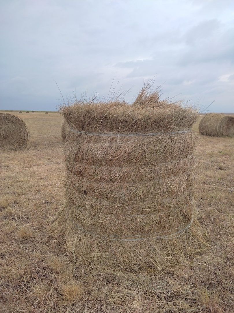 Сено в рулонах.