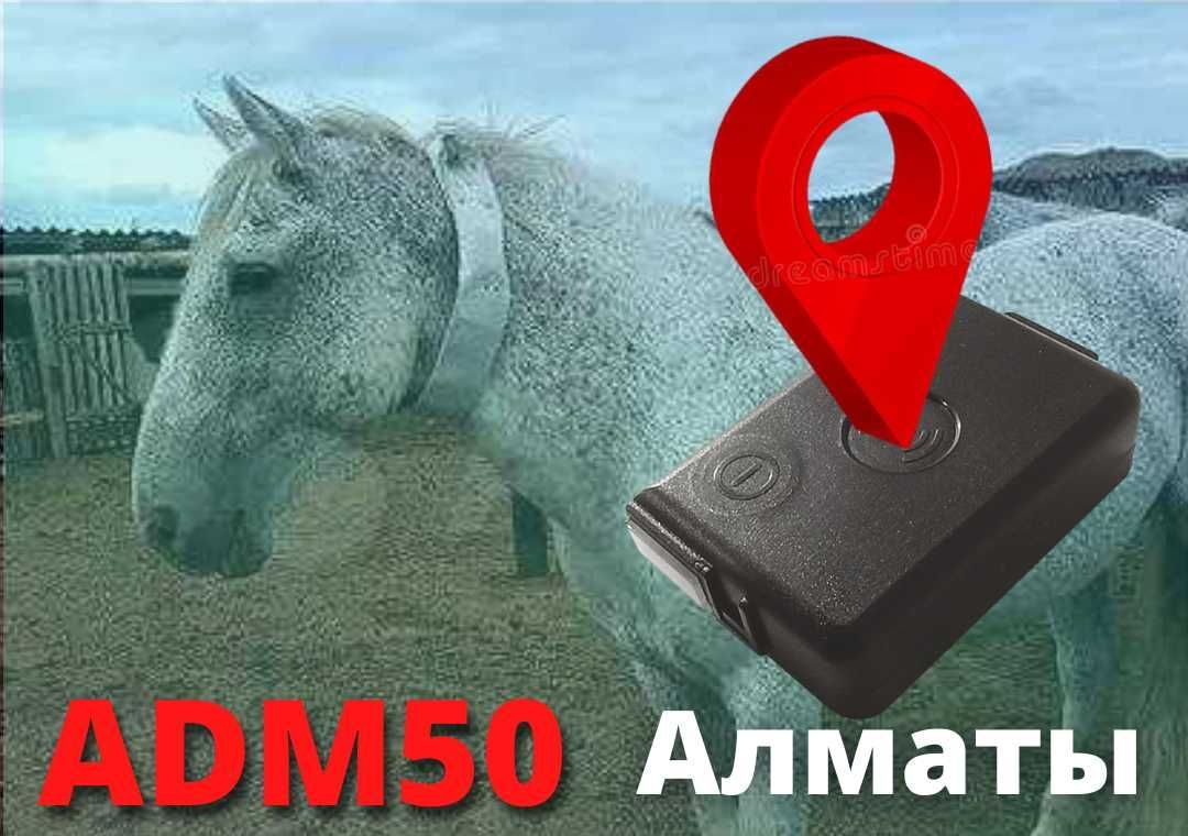 50 трекеров. Трекер GPS adm50 что это. ADM 50 трекер. Adm50. Adm50 персональный трекер.