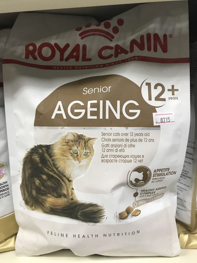 Royal canin для пожилых кошек. Роял Канин для пожилых кошек. Роял Канин для престарелых кошек.