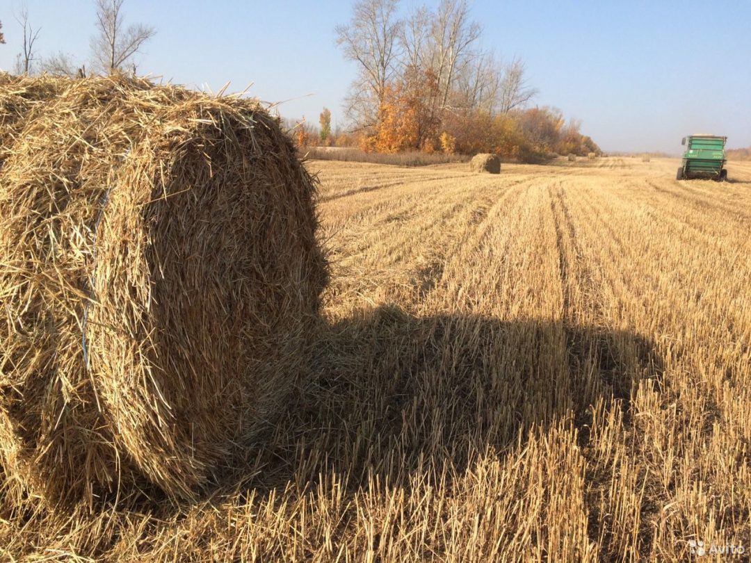 Купить Сено В Рязанском Районе