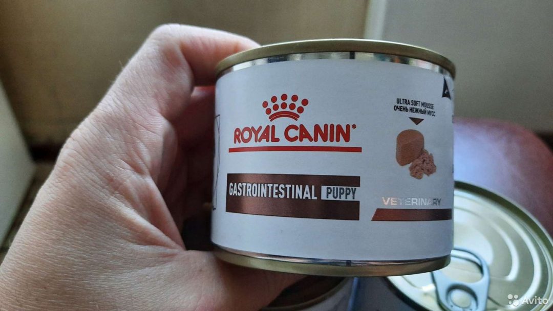 Royal canin gastrointestinal влажный. Роял Канин гастроинтестинал Паппи. Мусс Паппи гастроинтестинал Роял Канин. РК гастро Паппи. Паппи влажный.