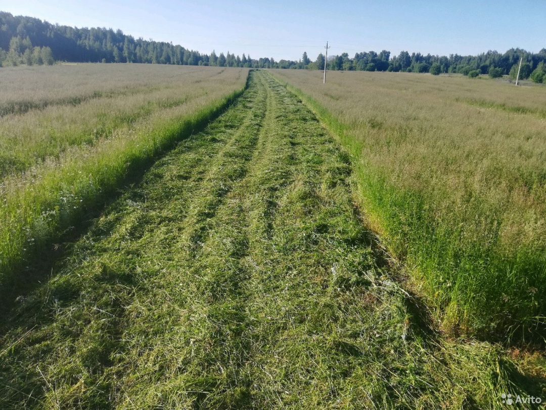 Купить В Орловской Области