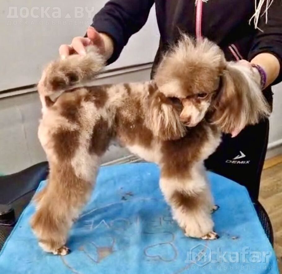 Разное