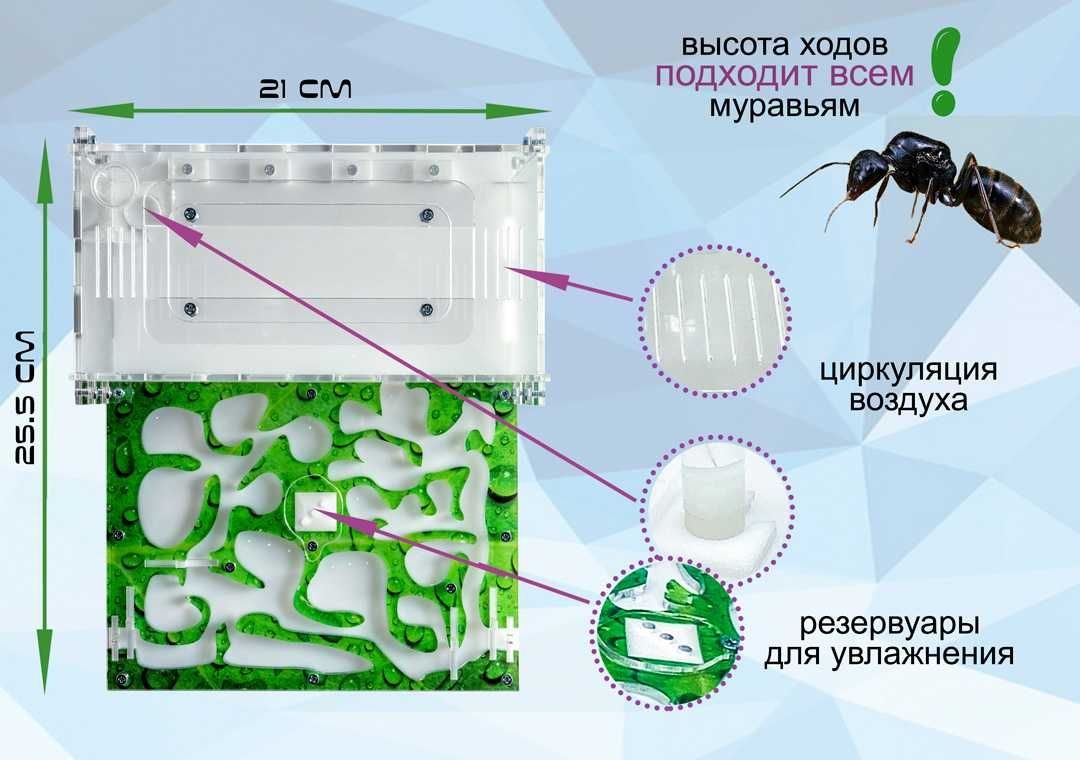 Схема муравьиной фермы