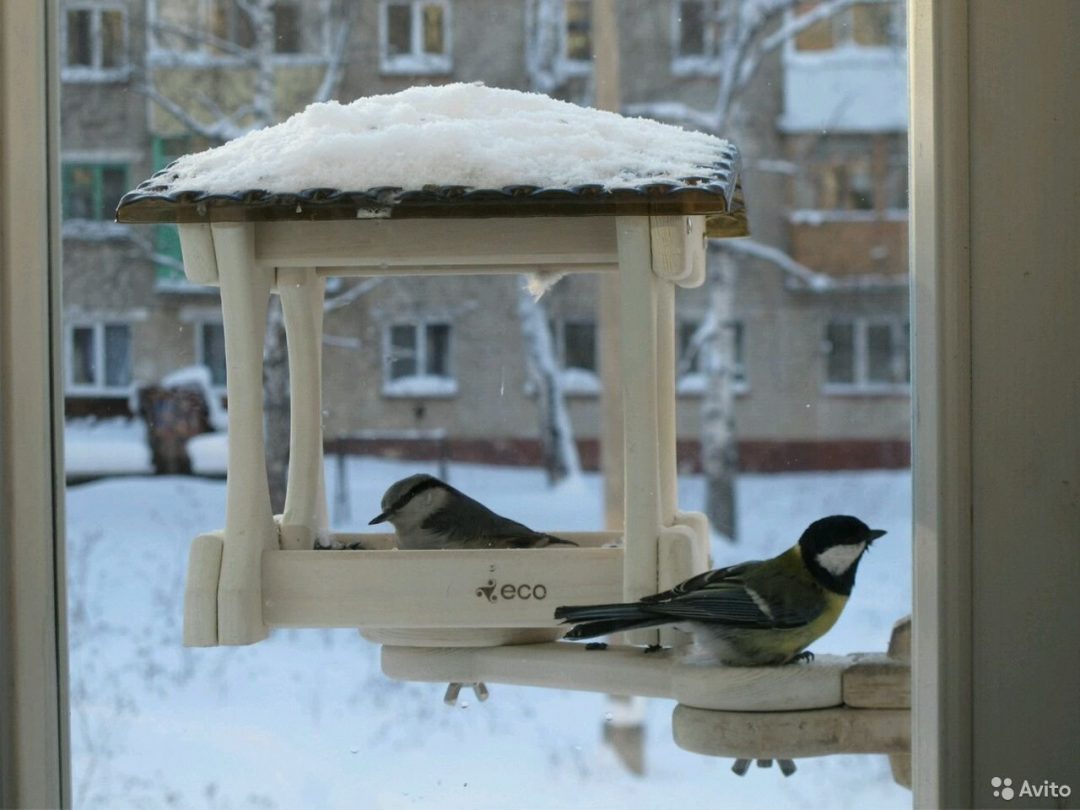 Кормушка на окно. Кормушка на подоконник. Кормушка для птиц на подоконник. Кормушка для птиц за окном. Крепление кормушки для птиц за окном.