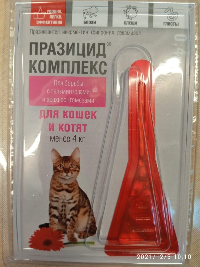 Празицид для кошек. Празицид комплекс для котят. Празицид комплекс для котят и кошек. Празицид комплекс. Празицид для котят.