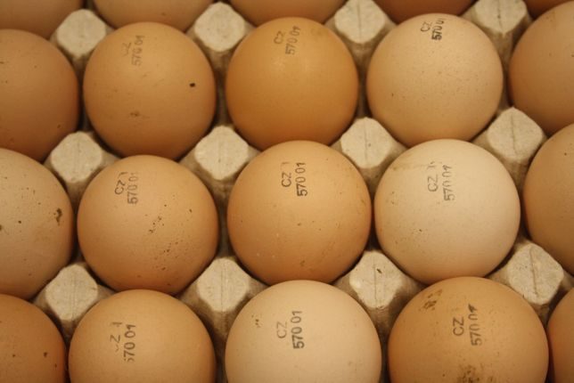 Где можно купить инкубационное яйцо