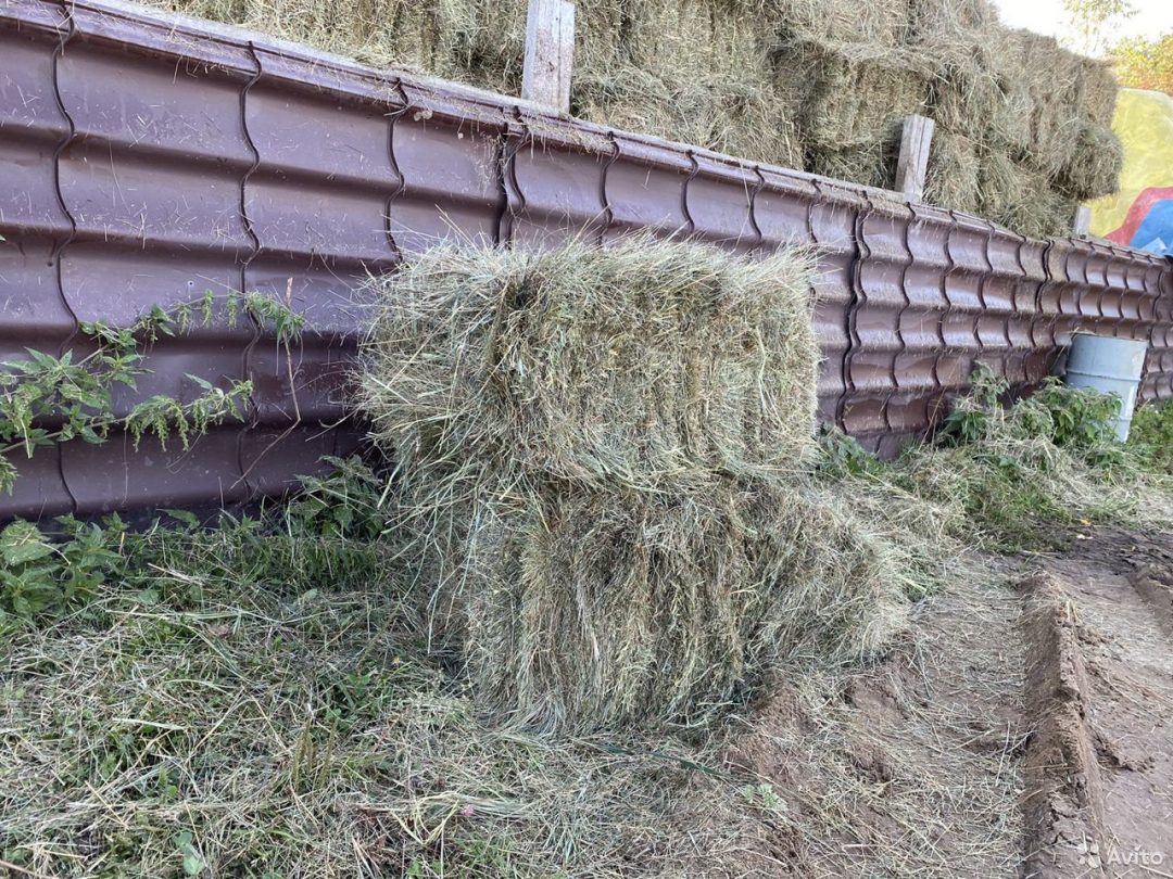 Купить Тюки Сена В Волгоградской Области