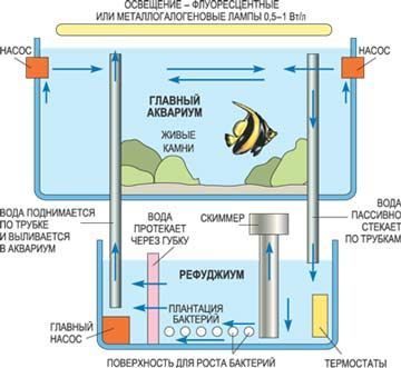 Температура в аквариуме. Строение аквариума. Система автоподмены воды в аквариуме. Из чего состоит аквариум. Схема структуры аквариума.