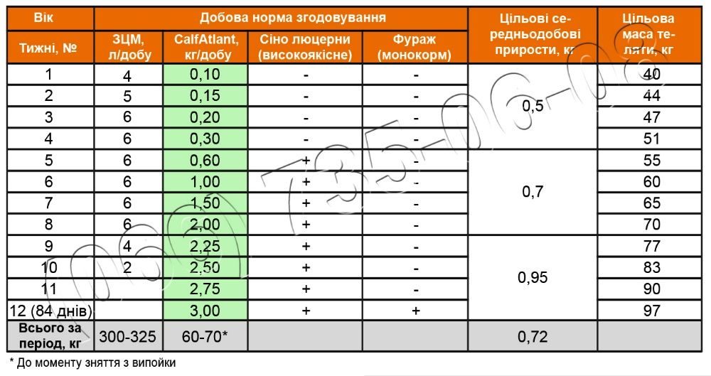 Схема кормления козлят